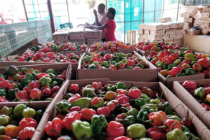 Photo of pepper produced at Mukumu