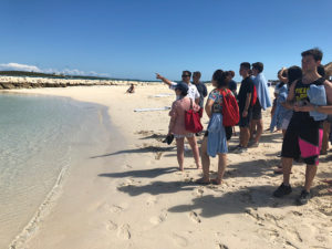 Photo of a group of students on the beach
