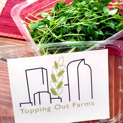 Package of Top of the Hill micro greens