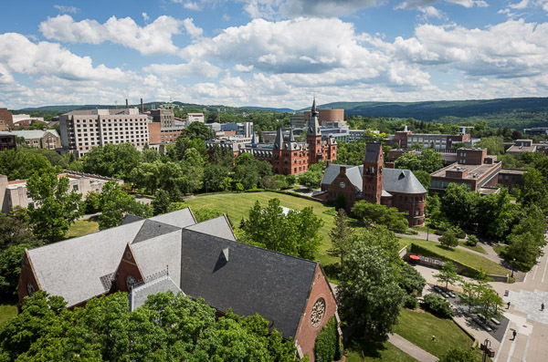 Park Perspectives: Cornell business education—where the rubber meets ...