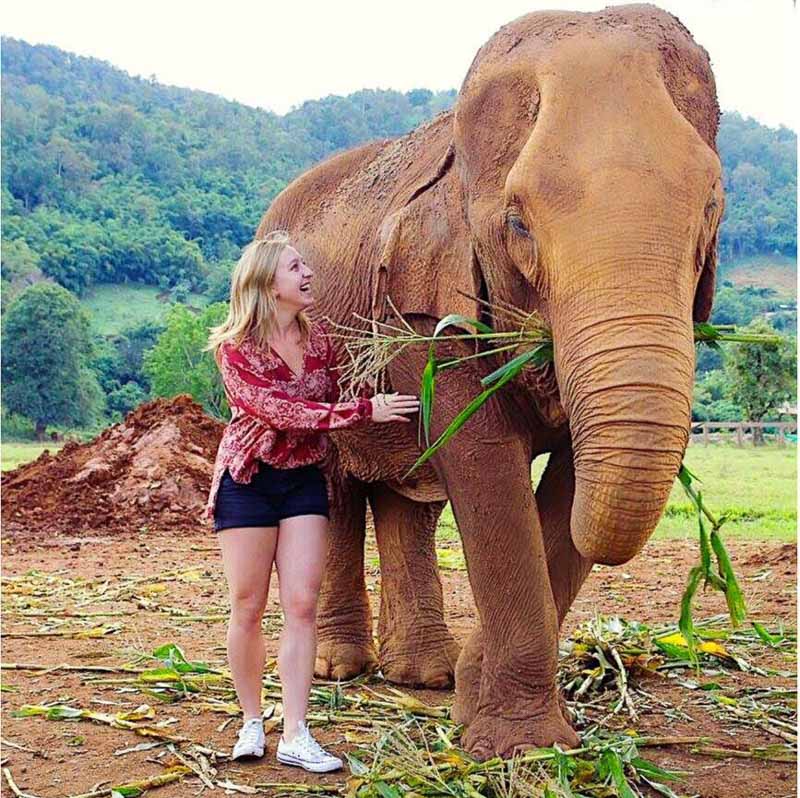 Photo of Elyse feeding an elephant with hills in the background