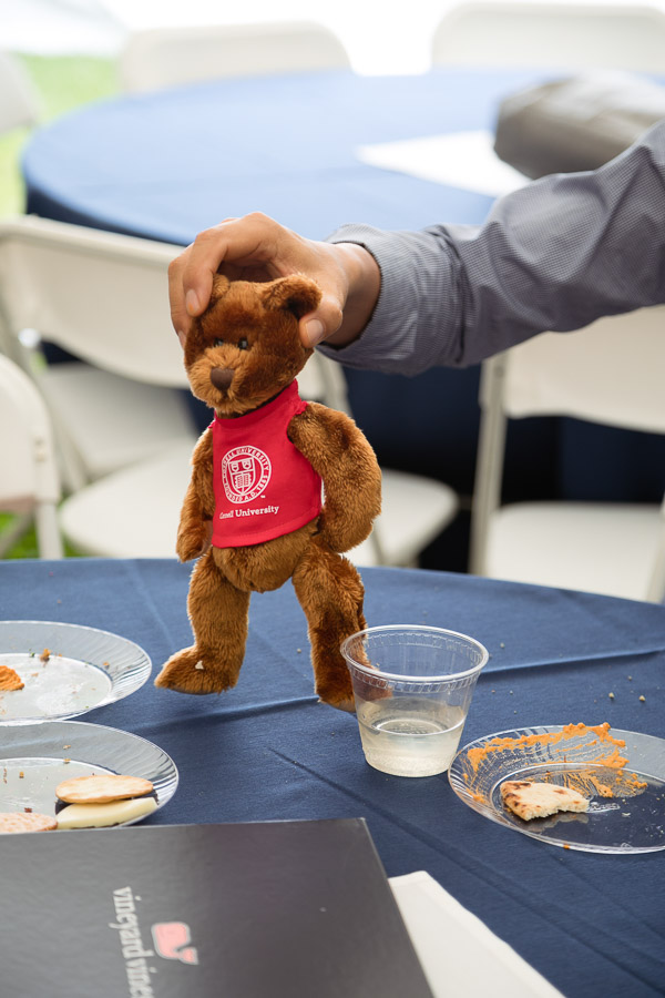 Photo of a stuffed Cornell bear