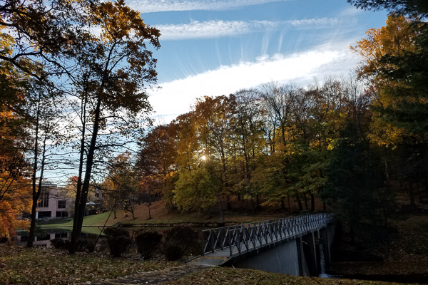 Fall scenery at Palisades