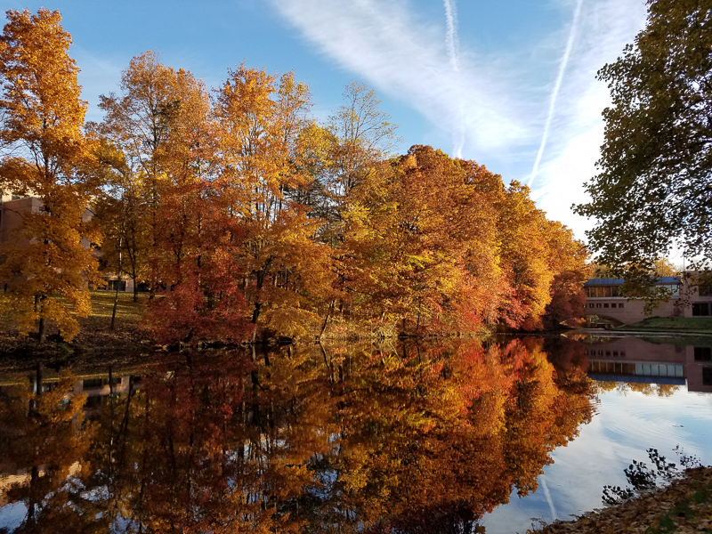 Autumn scenery at Palisades