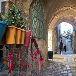 Alley with flowers