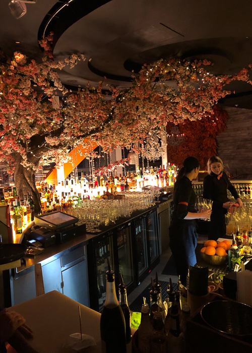 Two bartenders at a bar with colorful decorations