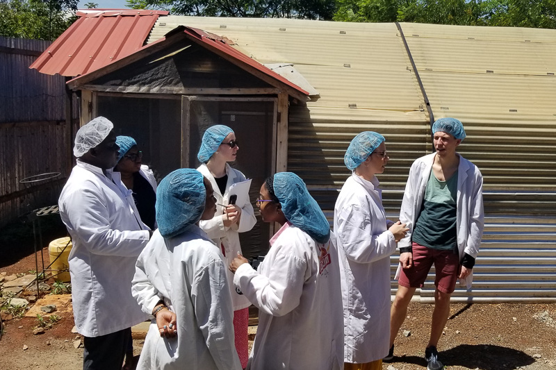 Students wearing hair nets