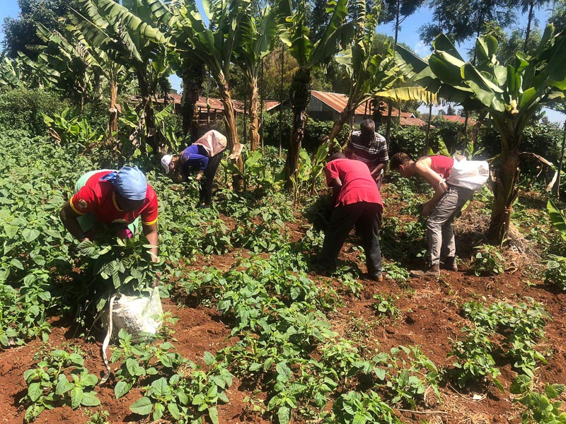 Students working in the field