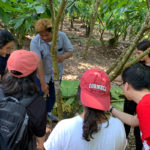 Students look at plants with their guide