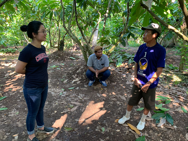 Students talking near cacao plants