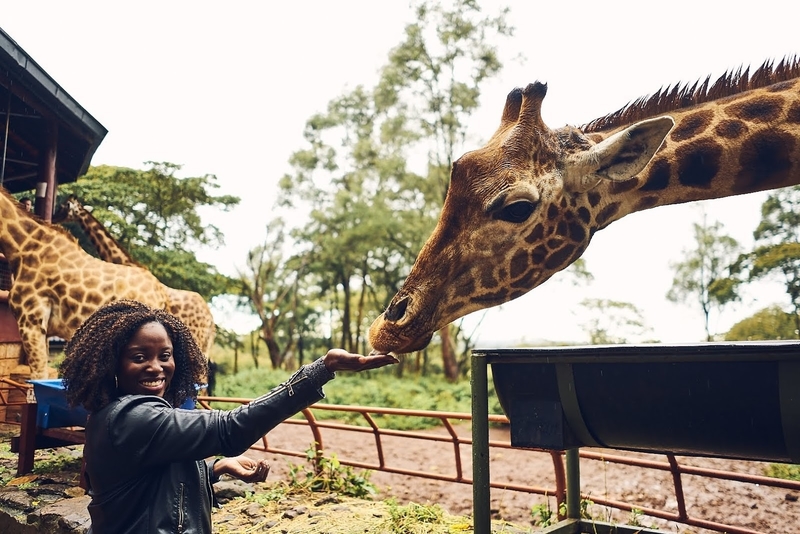 Yewande petting giraffe 