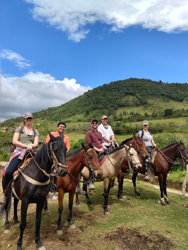 Horseback riding