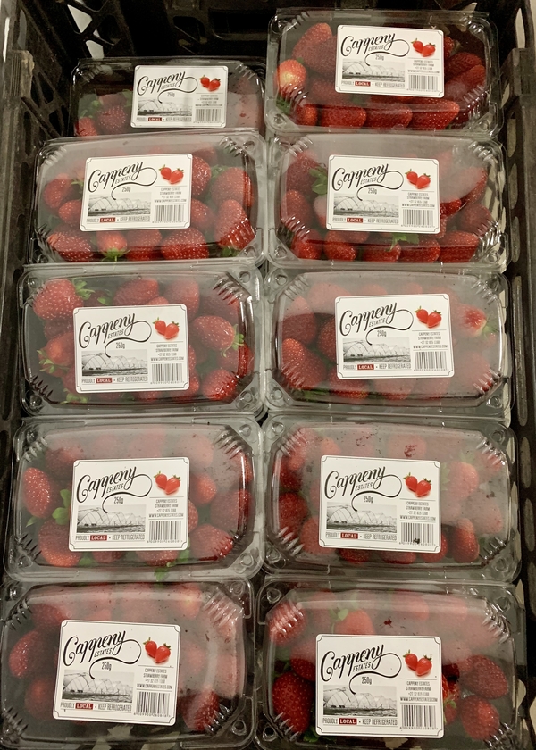 Strawberries for sale