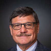 William W. Huling Executive DIrector, VinUniversity Project