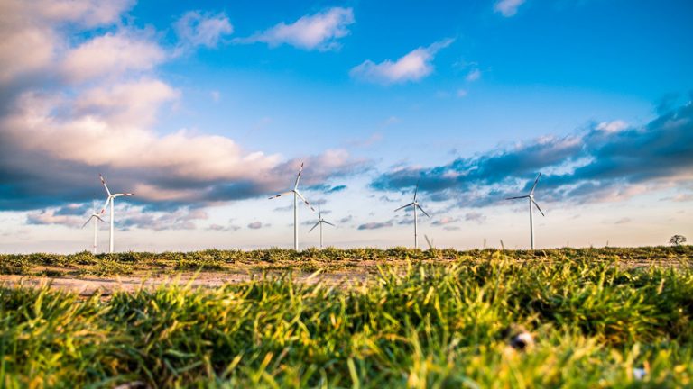 Wind farm panoramic 