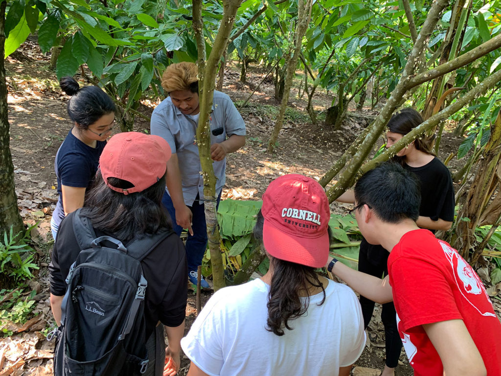 Students in the field