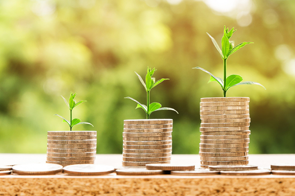 Stacks of coins with leaves