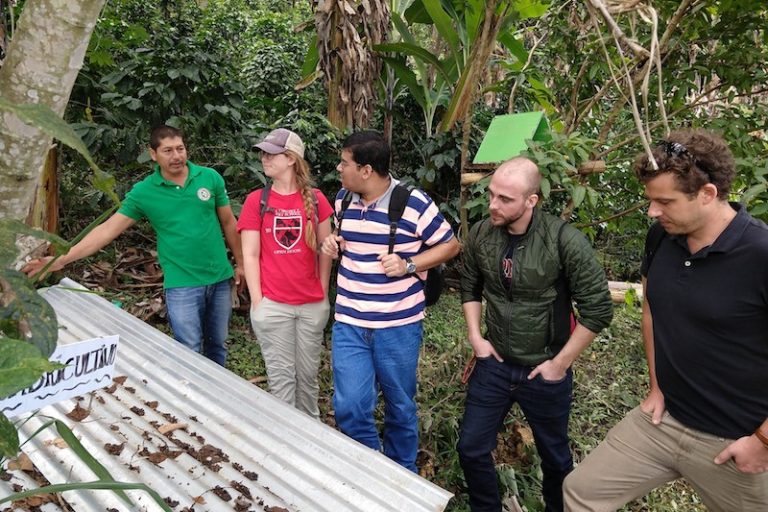 Looking at worms on a tin roof