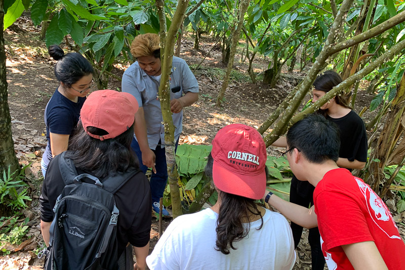 Students in the field