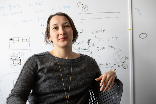 Elena Belavina in front of a whiteboard of calculations