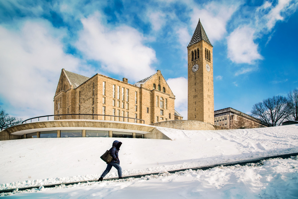 Libe Slope on Cornell's Ithaca campus