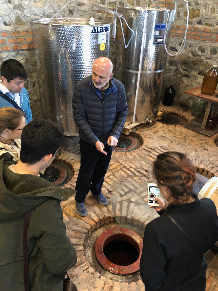 Students looking into holes in the winery floor