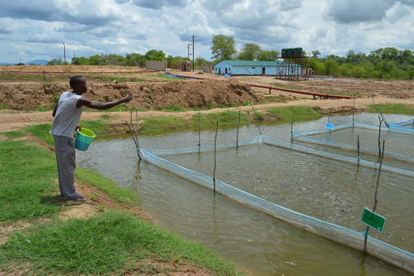 A man tosses food into water