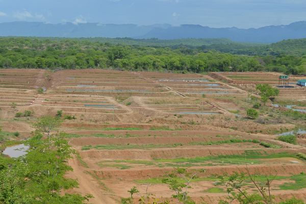 A large expanse of fields and sky