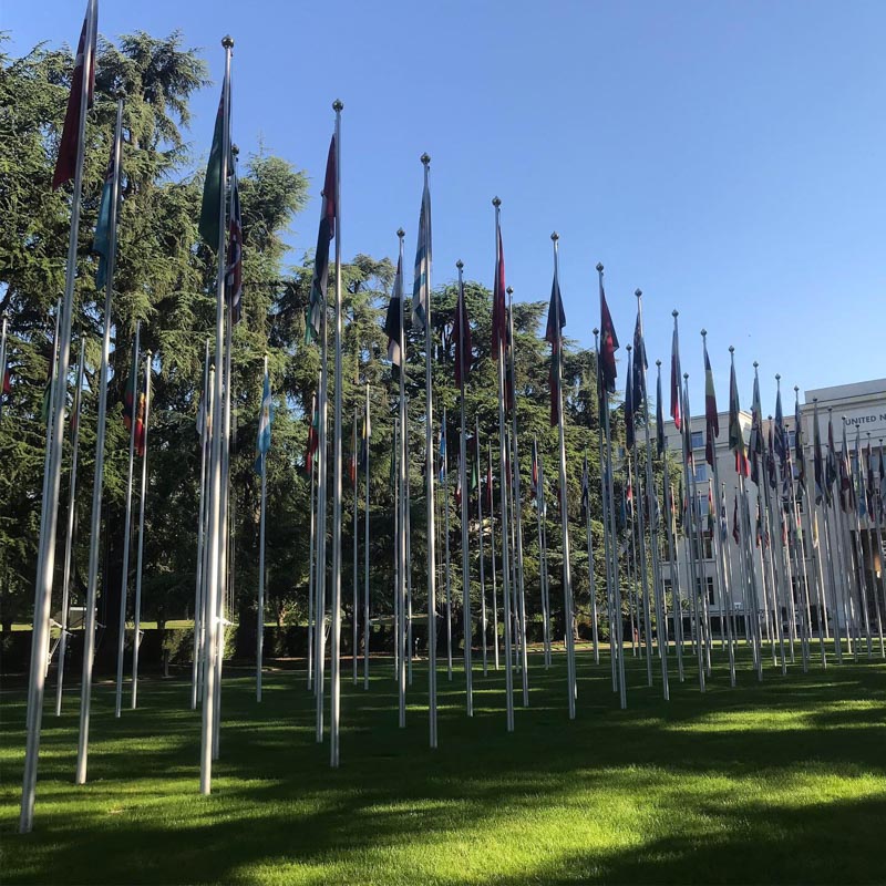 Rows of flags on bright green grass