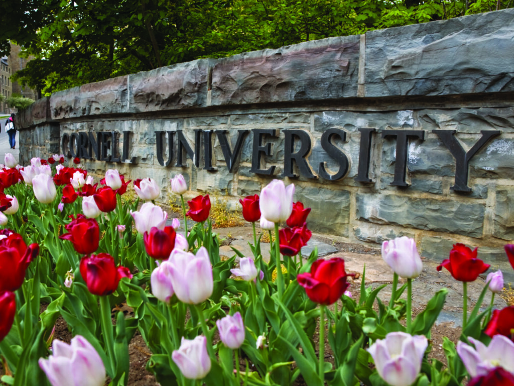 Cornell University Stone Wall with Flowers