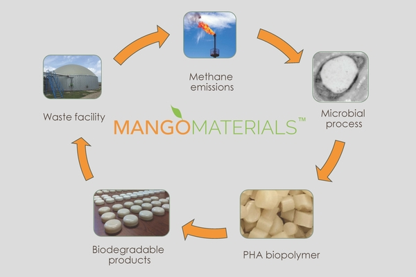 An image of the circular economy of Mango Materials’ process showing pictures of methane gas, microbial process, PHA biopolymer, biodegradeable products and waste facility back to methane with arrows between each picture.