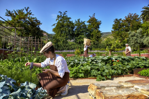 A picture of someone kneeling down and gardening in an organic garden