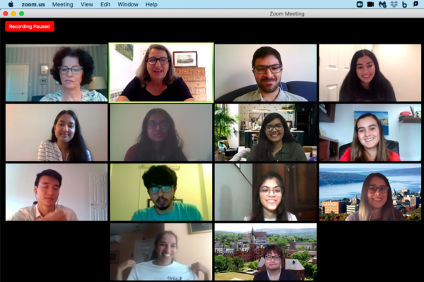 Emerging Markets Institute interns in a Zoom meeting (headshots)