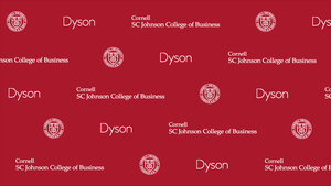 Dyson logo step and repeat Zoom background