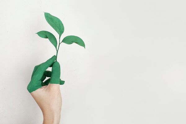 A hand partially painted green holds a small green plant