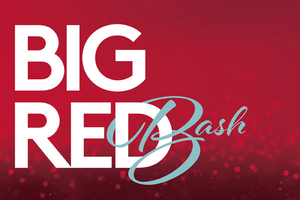 https://business.cornell.edu/wp-content/uploads/sites/2/2021/04/BigRedBash-FeatureImage-600x400_WEB.jpg