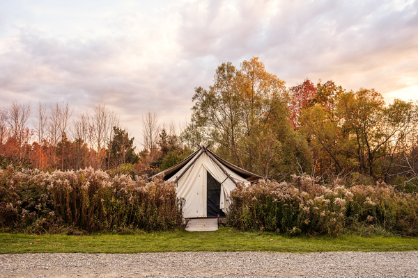 Tent nestled behind shrubbery