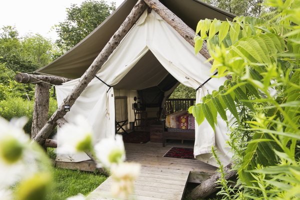 A Firelight Camps tent peaks out from behind greenery.