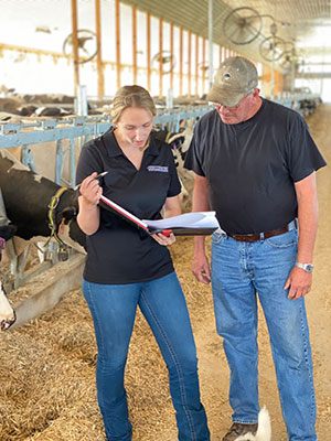 Anna Richards standing next to a man, both dressed in blue jeans and looking at a ledger, in a dairy barn with hay and cows in the background