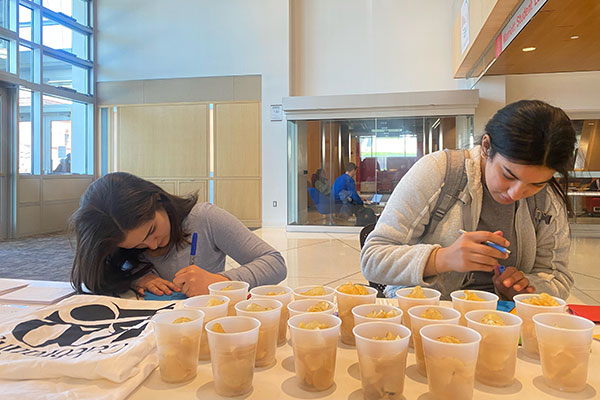 two female students sitting at a table writing notes on colorful note paper