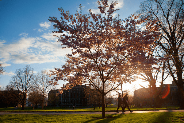 Scenic view of Cornell campus in sunshine