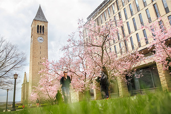 Cornell clocktower in the spring