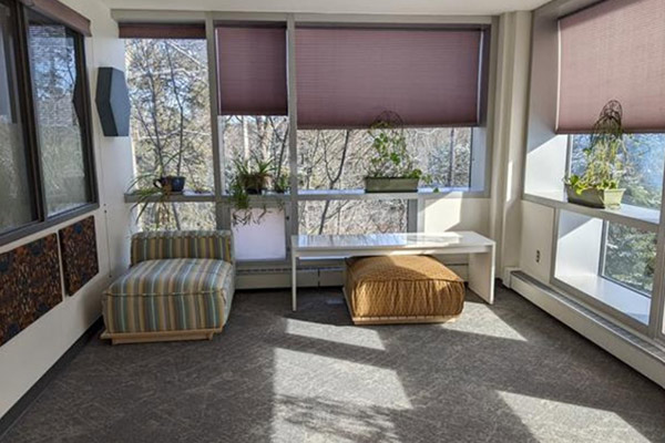 A carpeted, corner room with sun pouring through windows on both sides containing plants, a low table, and two large ottomans.