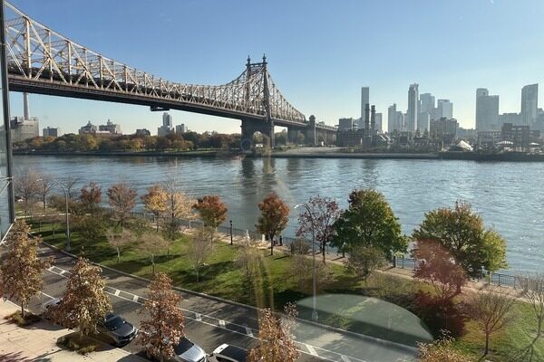 photo of a large bridge over a wide body of water with trees in the foreground and tall buildings on the other side of the water in the background.