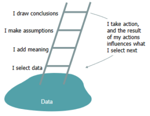 Illustration of a pool of water labeled "data" with a ladder coming out of it. Each of the 4 rungs of the ladder is labeled with the steps in the Ladder of Inference decision-making process.