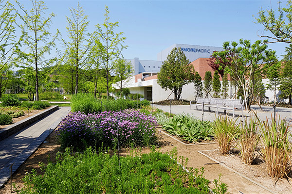 photo of garden beds filled with plants and flowers, surrounded by walkways and tree, with Amorepacific buildings in the background.