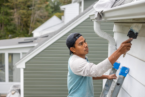 photo of a young man on a ladder painting a house.
