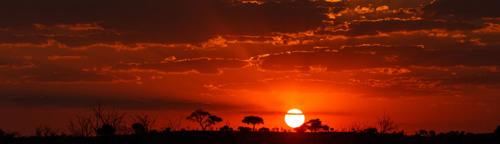 Sunset over the African Sahara