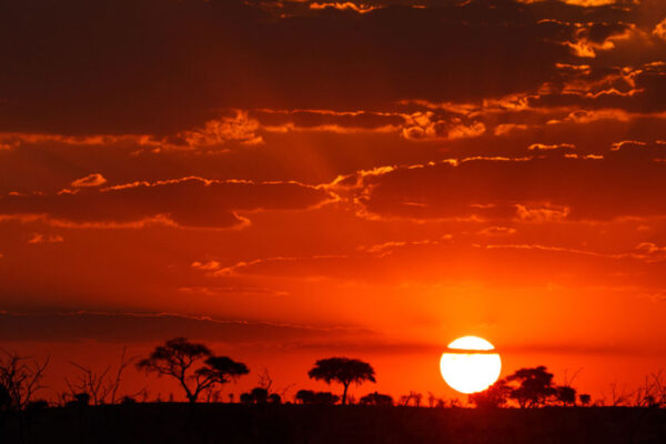 Sunset over the African Sahara
