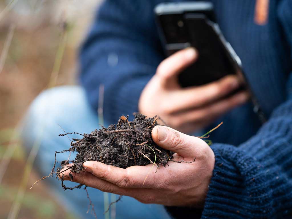A person talking a close up picture on their phone of dirt. 